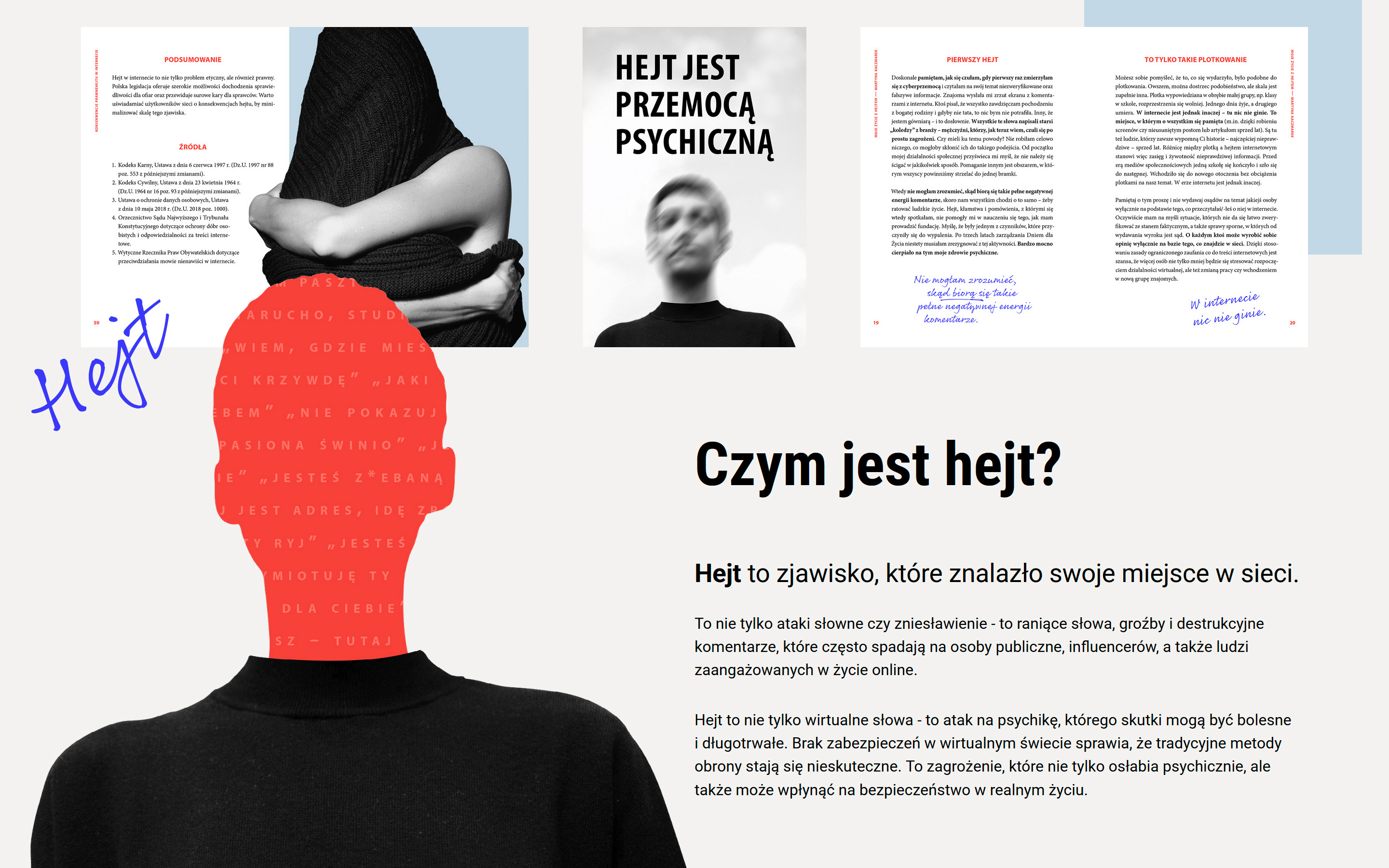 Strona - Szejm on hejt